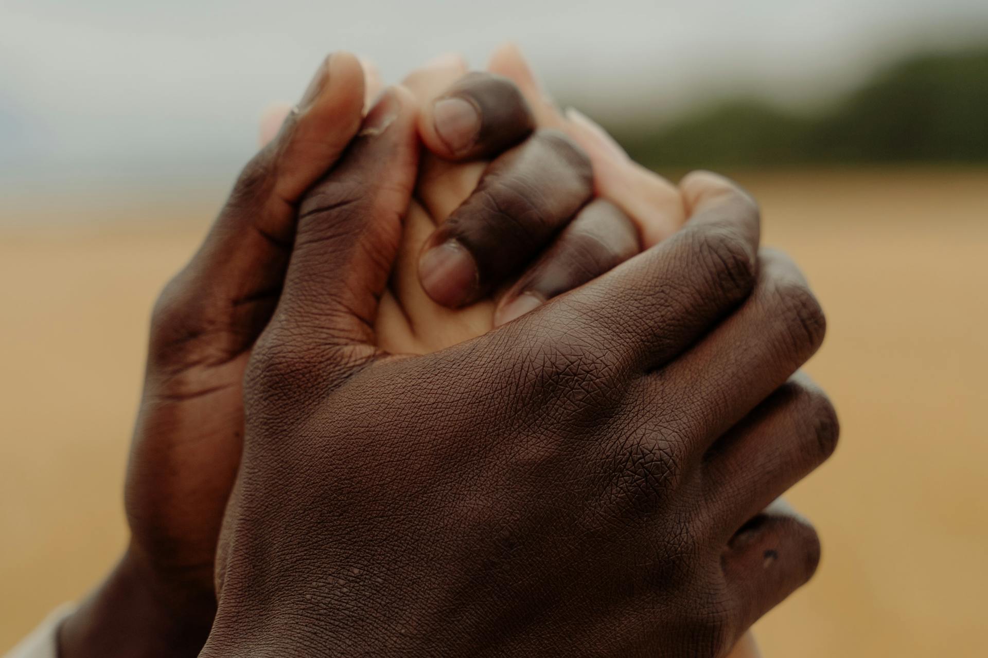 pexels-photo-10679195-2